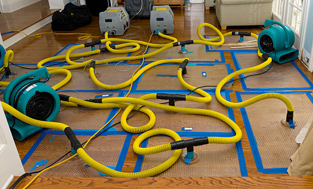 Professional Basement Flood Cleanup technician working in Bunn, NC